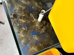 -阳澄湖大闸蟹·琼灵阁牌品牌连锁(吴中总店)