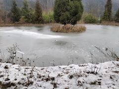 -武陵山森林公园