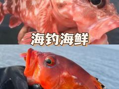 -舟山朱家尖绿城威斯汀度假酒店