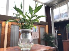-正安中医(广渠店)