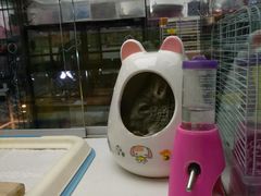 -乐宠宠物店(世纪金源店)