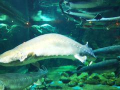 -华夏文旅海洋公园