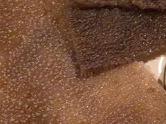 -老牌坊云南鱼豆花火锅(哈西万达店)