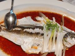钱湖四宝-朋鱼-宁波柏悦酒店·钱湖渔港