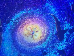 -海合安天津极地海洋公园