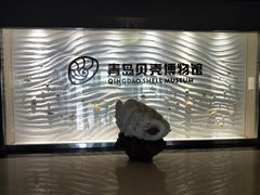 -青岛贝壳博物馆