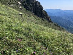 -白草畔自然风景区