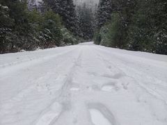 -武陵山森林公园