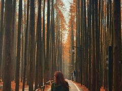 -山王坪喀斯特国家生态公园