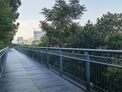 -佛山华盖山公园