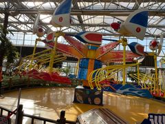 -南宫五洲植物乐园