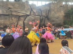 -杭州开元森泊度假乐园