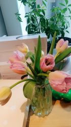 -卡莫瑜伽·普拉提