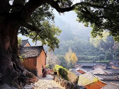 -杨家堂村