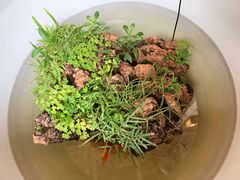 -龙华素斋(龙华路店)