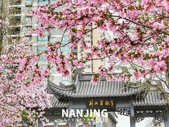 -莫愁湖公园