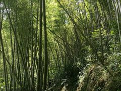 -千泷沟大瀑布旅游区