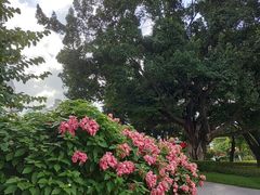 -荔枝公园(福田区)