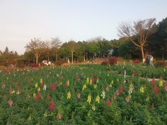 -厦门园林博览苑