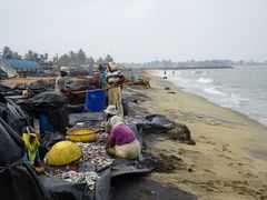 -尼甘布海鲜市场