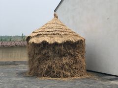-同里国家湿地公园