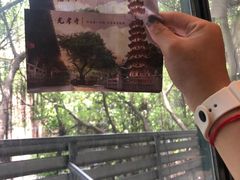 -莲池荟素食馆·12年老字号(光孝寺店)