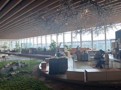 -Seesaw Coffee(朝阳大悦城店)