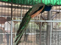 -珠海海泉湾神秘岛亲子乐园