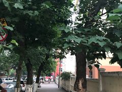 -青岛大学路小学