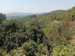 -火炉山森林公园