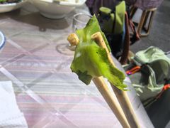 -绿草墩