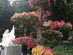 -广州雕塑公园
