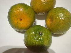 -新长福(国贸金融中心店)