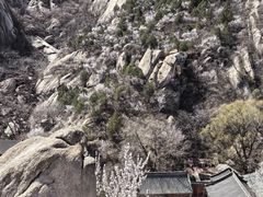 -北京凤凰岭