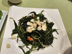 凉拌苦菊-天厨妙香素食餐厅(清华店)