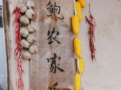 -老鲍农家乐