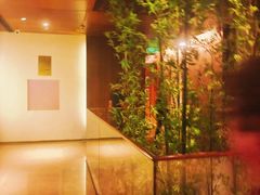 -广州富力君悦大酒店空中花园