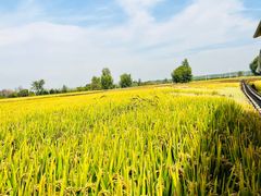 -稻梦空间冰雪小镇