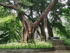 -晓港公园
