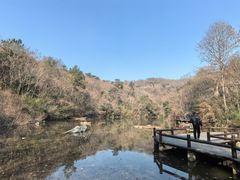 -天目湖山水园