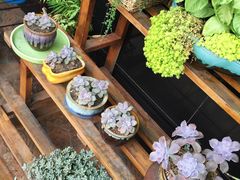 -陈记烧鹅茶餐厅(世和路店)