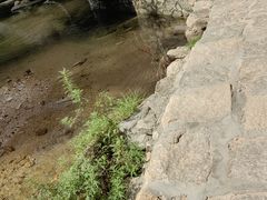 -黑龙潭风景区
