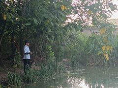 -白鹭湾湿地公园