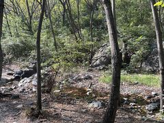 -云岫谷游猎自然风景区