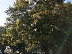 -辽宁大学(崇山校区)