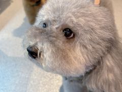 -E+有冰工厂·昆仑寒宫2(五角场店)