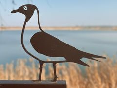 -野鸭湖国家湿地公园