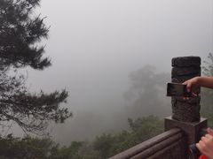 -鼎湖山风景区