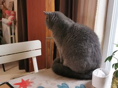 -Rabbit Cafe私房西餐甜点咖啡(栖霞路店)