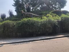 -自贡恐龙博物馆